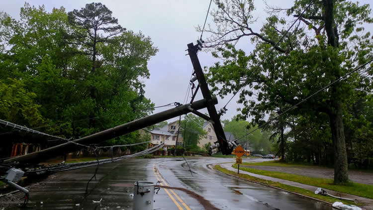 How Emergency Tree Services Protect Families During Storm Season