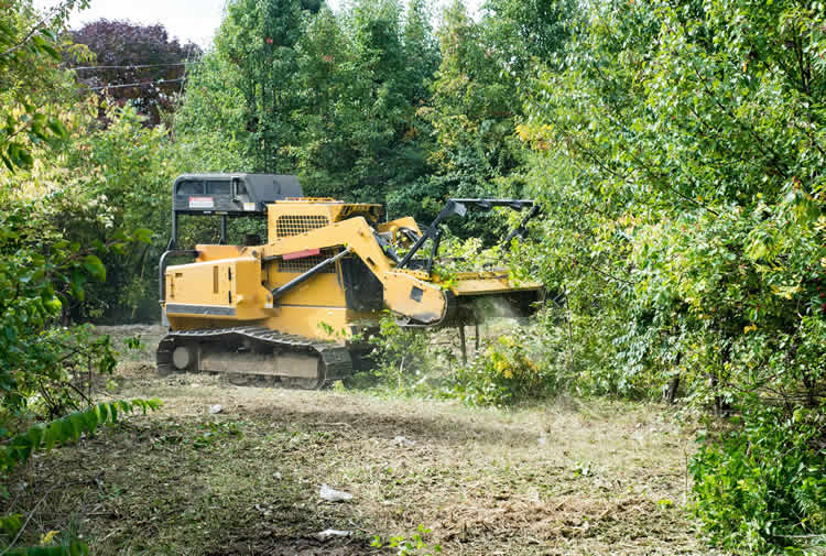 Reclaiming Overgrown Land with Professional Bush-Hogging in North Georgia
