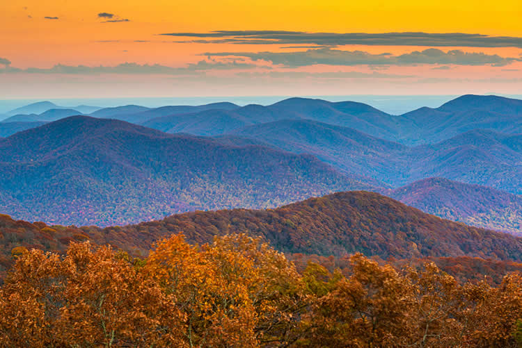 How Tree Pruning Can Transform Your Mountain Home’s View