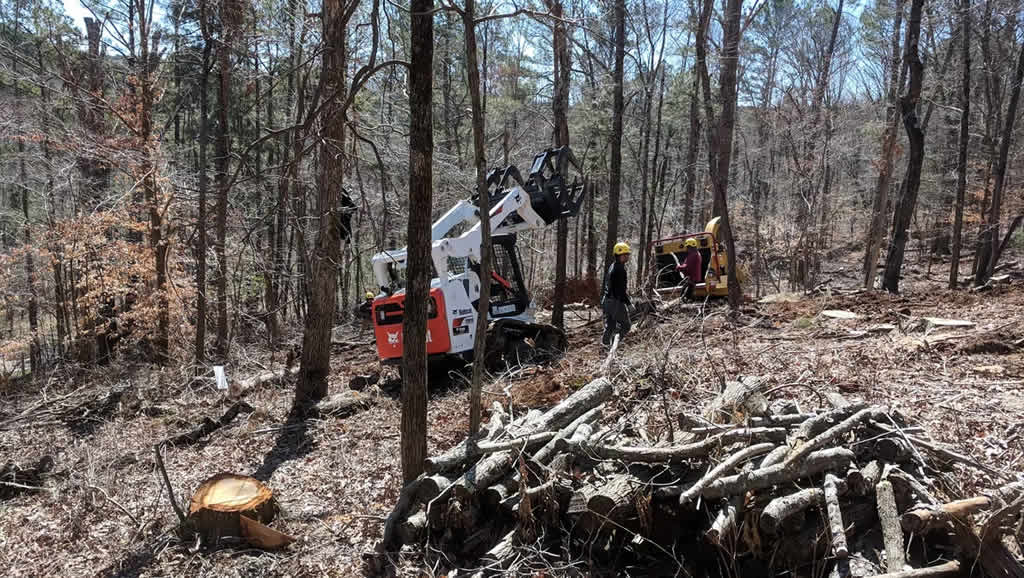 Workers using heavy machinery for forest tree clearing