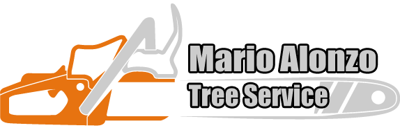 Mario Alonzo Tree Services