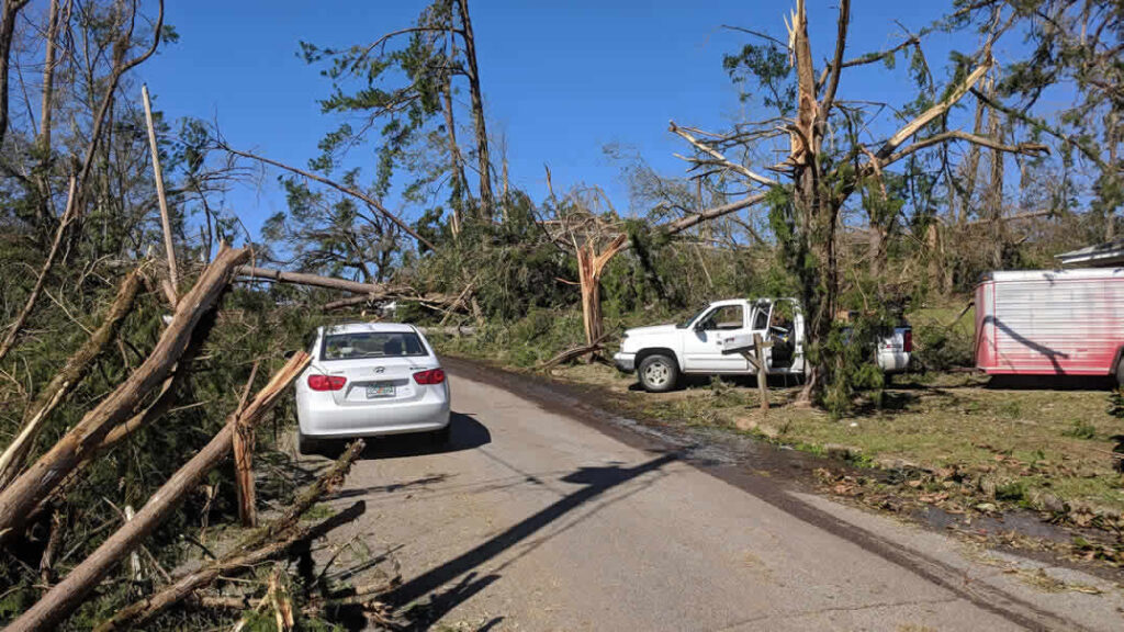 Cars blocked by fallen trees after severe storm damage
