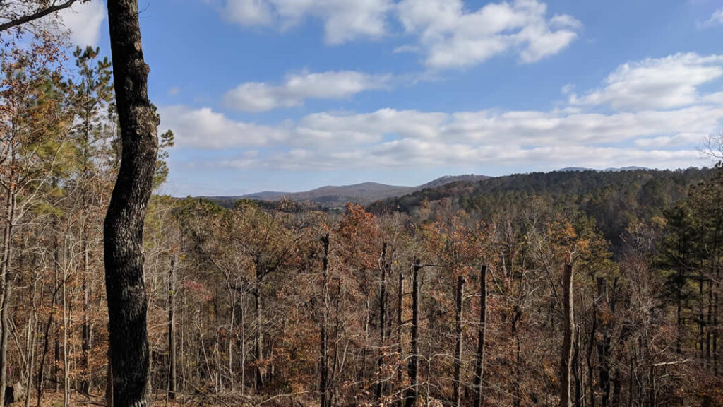 Scenic mountain view with autumn forest landscape
