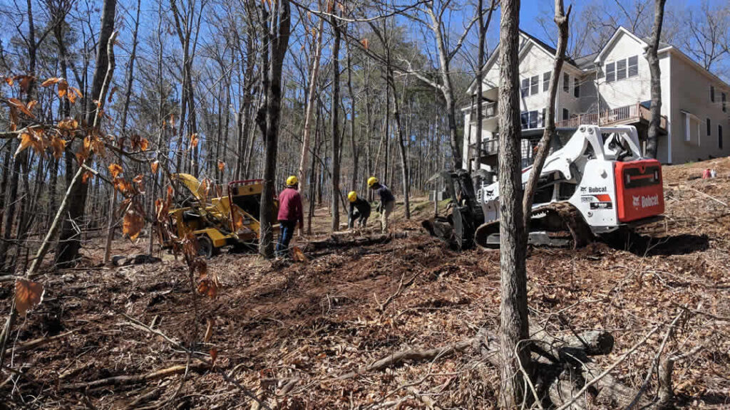 Workers clearing trees near house with equipment