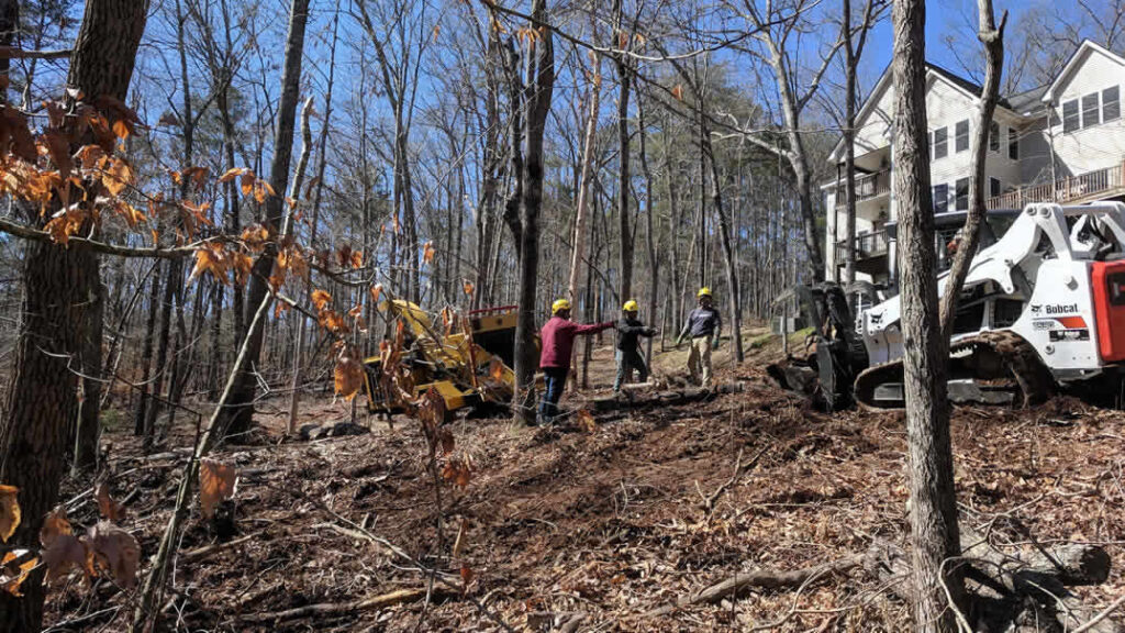 Workers clearing forested land near residential houses