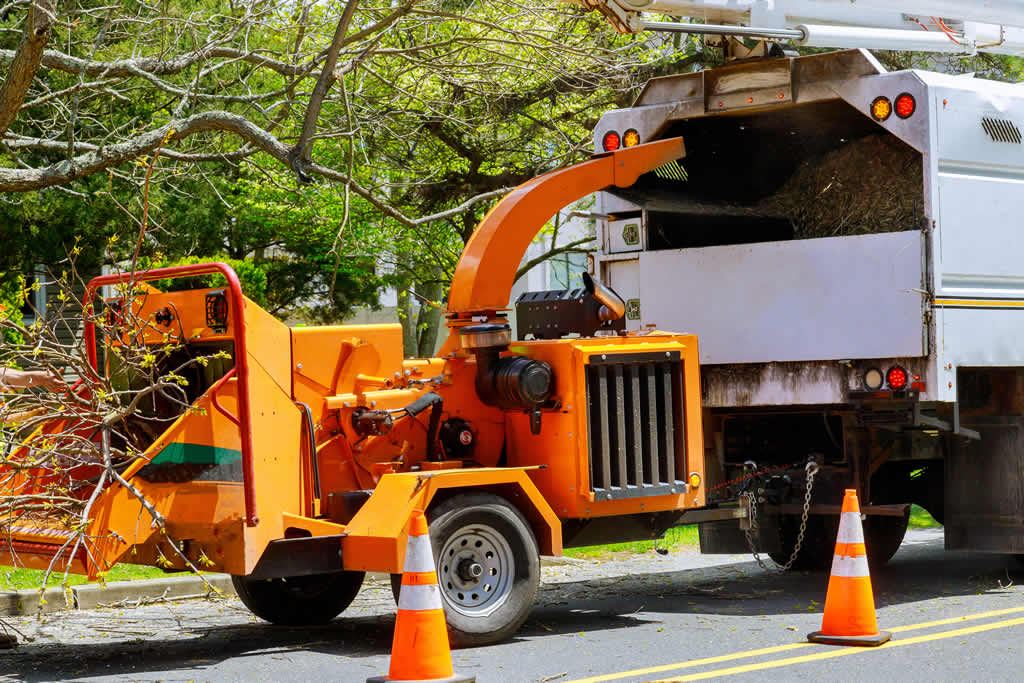 Tree branches fed into wood chipper for disposal