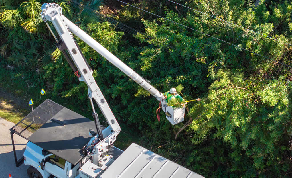 Worker trimming trees near power lines using bucket truck