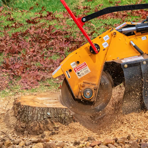 Stump grinder machine cutting tree stump outdoors